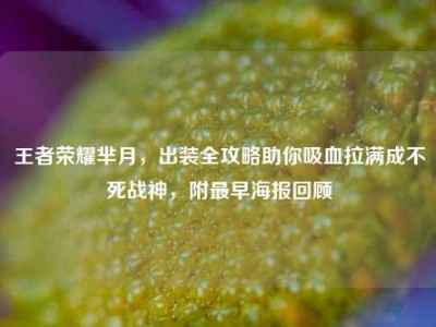 王者荣耀芈月，出装全攻略助你吸血拉满成不死战神，附最早海报回顾