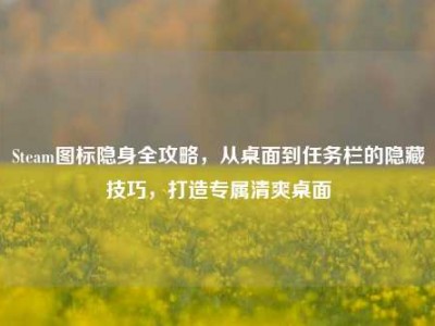 Steam图标隐身全攻略，从桌面到任务栏的隐藏技巧，打造专属清爽桌面