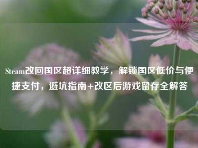 Steam改回国区超详细教学，解锁国区低价与便捷支付，避坑指南+改区后游戏留存全解答
