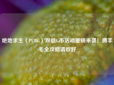 绝地求生（PUBG）双倍G币活动重磅来袭！薅羊毛全攻略请收好