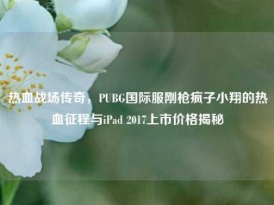 热血战场传奇，PUBG国际服刚枪疯子小翔的热血征程与iPad 2017上市价格揭秘