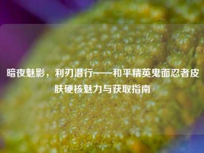 暗夜魅影，利刃潜行——和平精英鬼面忍者皮肤硬核魅力与获取指南