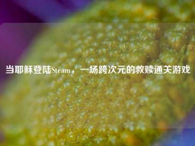 当耶稣登陆Steam，一场跨次元的救赎通关游戏