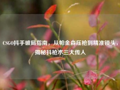 CSGO抖手破局指南，从帕金森压枪到精准锁头，揭秘抖枪术三大传人