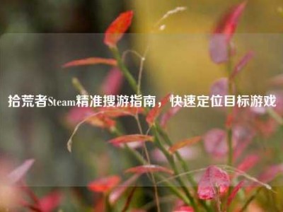 拾荒者Steam精准搜游指南，快速定位目标游戏