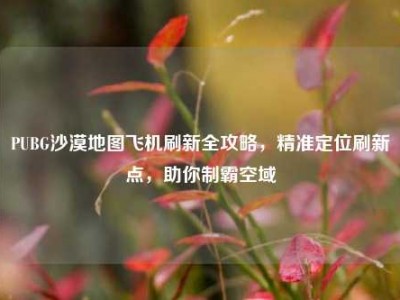 PUBG沙漠地图飞机刷新全攻略，精准定位刷新点，助你制霸空域