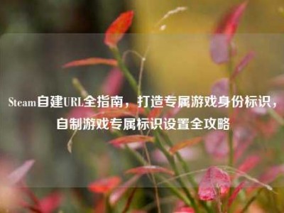 Steam自建URL全指南，打造专属游戏身份标识，自制游戏专属标识设置全攻略