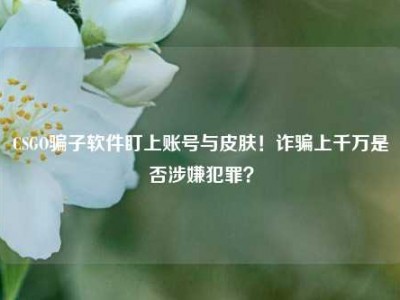 CSGO骗子软件盯上账号与皮肤！诈骗上千万是否涉嫌犯罪？