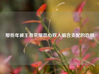 那些年被王者荣耀恶心双人组合支配的恐惧