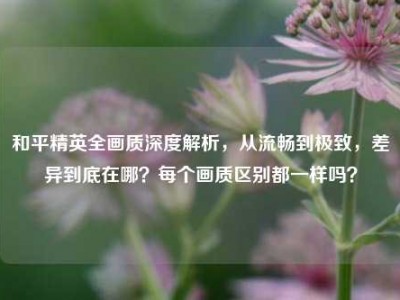 和平精英全画质深度解析，从流畅到极致，差异到底在哪？每个画质区别都一样吗？