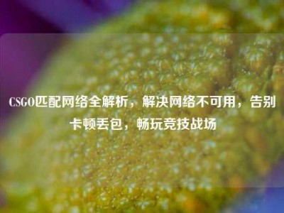 CSGO匹配网络全解析，解决网络不可用，告别卡顿丢包，畅玩竞技战场