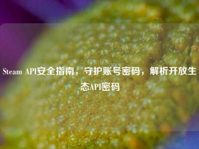 Steam API安全指南，守护账号密码，解析开放生态API密码