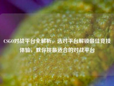 CSGO对战平台全解析，选对平台解锁最佳竞技体验，教你挑最适合的对战平台