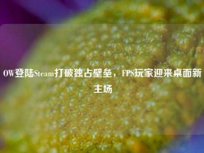 OW登陆Steam打破独占壁垒，FPS玩家迎来桌面新主场