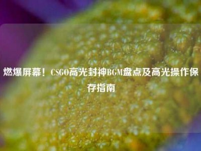 燃爆屏幕！CSGO高光封神BGM盘点及高光操作保存指南