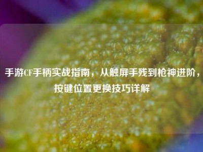手游CF手柄实战指南，从触屏手残到枪神进阶，按键位置更换技巧详解