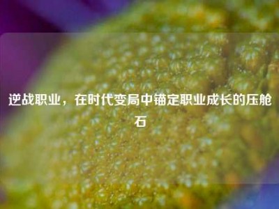 逆战职业，在时代变局中锚定职业成长的压舱石
