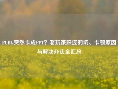 PUBG突然卡成PPT？老玩家踩过的坑、卡顿原因与解决办法全汇总