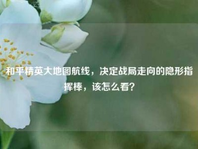 和平精英大地图航线，决定战局走向的隐形指挥棒，该怎么看？