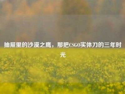 抽屉里的沙漠之鹰，那把CSGO实体刀的三年时光