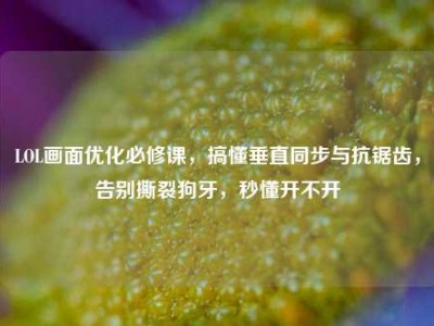 LOL画面优化必修课，搞懂垂直同步与抗锯齿，告别撕裂狗牙，秒懂开不开