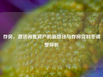 存房，激活闲置房产的新路径与存房贷利率调整探析