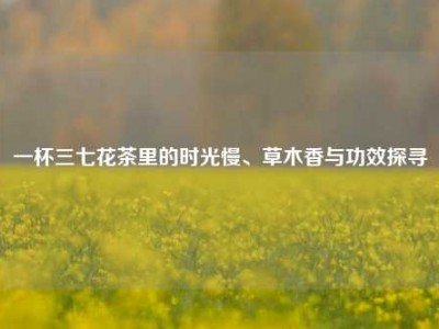 一杯三七花茶里的时光慢、草木香与功效探寻