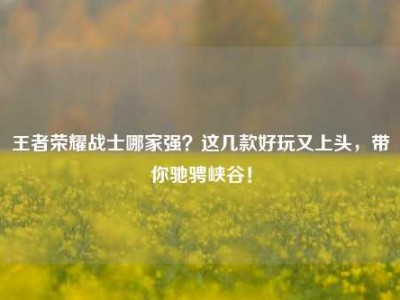 王者荣耀战士哪家强？这几款好玩又上头，带你驰骋峡谷！