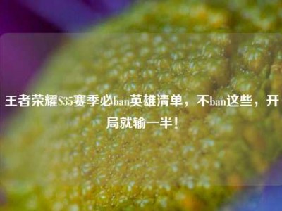 王者荣耀S35赛季必ban英雄清单，不ban这些，开局就输一半！