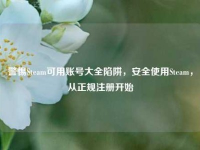 警惕Steam可用账号大全陷阱，安全使用Steam，从正规注册开始