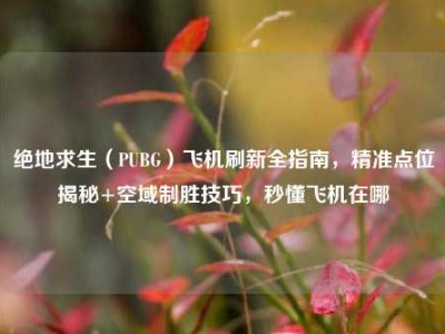 绝地求生（PUBG）飞机刷新全指南，精准点位揭秘+空域制胜技巧，秒懂飞机在哪