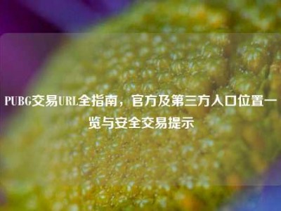 PUBG交易URL全指南，官方及第三方入口位置一览与安全交易提示