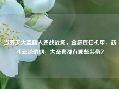 当齐天大圣踏入逆战战场，金箍棒扫机甲、筋斗云踏硝烟，大圣套都有哪些装备？
