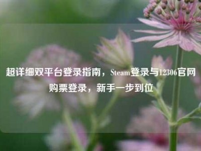 超详细双平台登录指南，Steam登录与12306官网购票登录，新手一步到位
