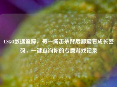 CSGO数据追踪，每一场击杀背后都藏着成长密码，一键查询你的专属游戏记录