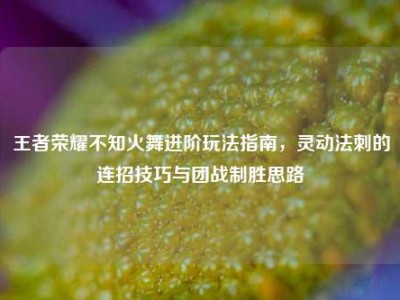 王者荣耀不知火舞进阶玩法指南，灵动法刺的连招技巧与团战制胜思路
