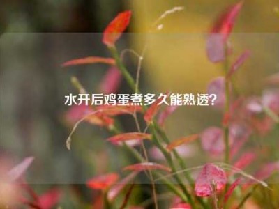 水开后鸡蛋煮多久能熟透？
