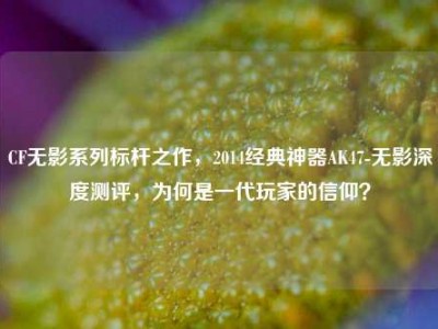 CF无影系列标杆之作，2014经典神器AK47-无影深度测评，为何是一代玩家的信仰？