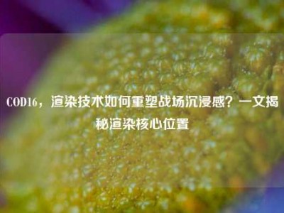 COD16，渲染技术如何重塑战场沉浸感？一文揭秘渲染核心位置