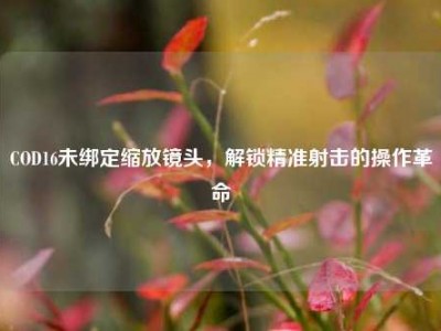 COD16未绑定缩放镜头，解锁精准射击的操作革命
