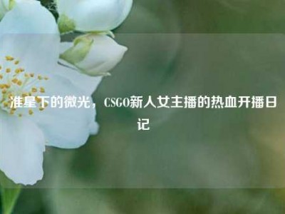 准星下的微光，CSGO新人女主播的热血开播日记