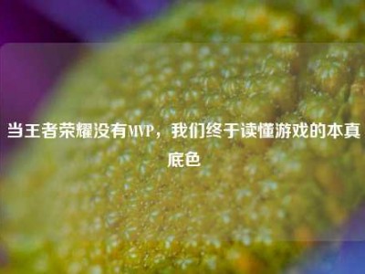 当王者荣耀没有MVP，我们终于读懂游戏的本真底色