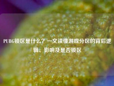 PUBG锁区是什么？一文读懂游戏分区的背后逻辑、影响及是否锁区