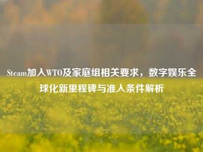 Steam加入WTO及家庭组相关要求，数字娱乐全球化新里程碑与准入条件解析