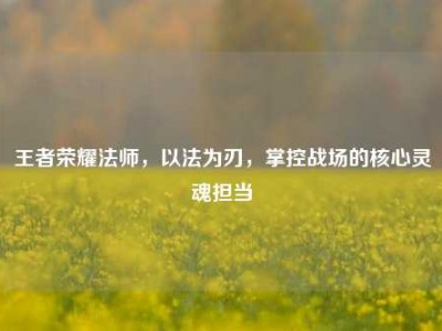 王者荣耀法师，以法为刃，掌控战场的核心灵魂担当