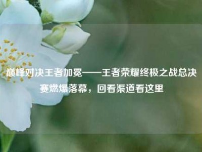 巅峰对决王者加冕——王者荣耀终极之战总决赛燃爆落幕，回看渠道看这里