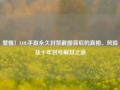 警惕！LOL手游永久封禁截图背后的真相、风险及十年封号解封之道