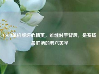 CSGO单机版坏心精英，难缠对手背后，是赛场最鲜活的老六美学