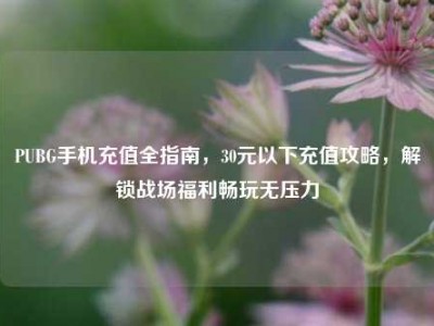 PUBG手机充值全指南，30元以下充值攻略，解锁战场福利畅玩无压力