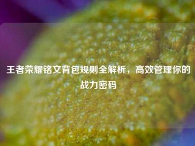 王者荣耀铭文背包规则全解析，高效管理你的战力密码